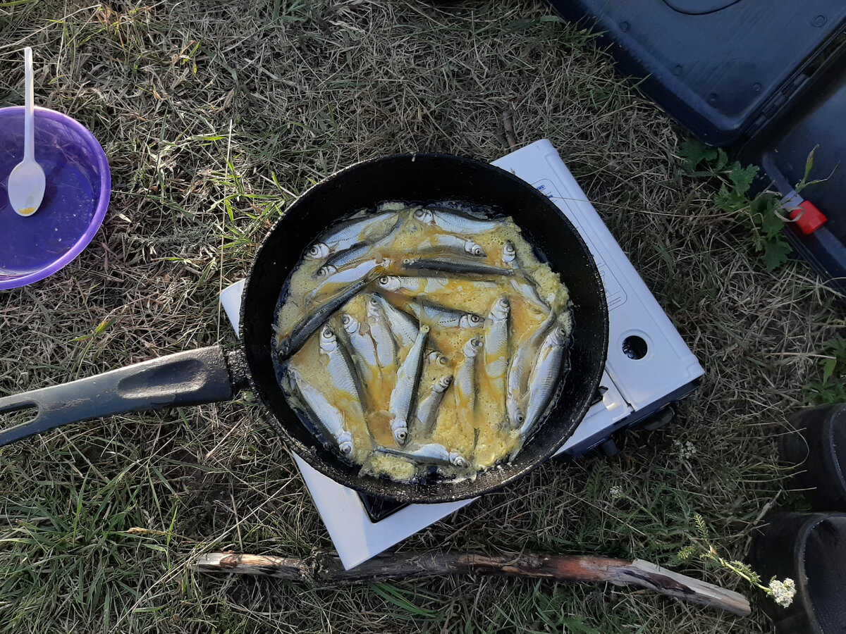 Речной вайб