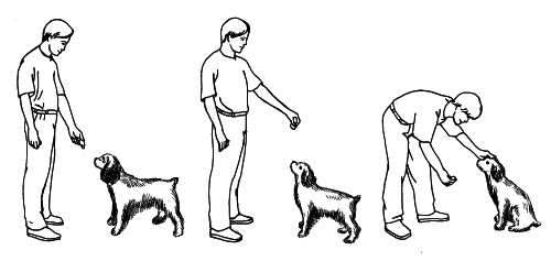 вкусопоощрительный метод