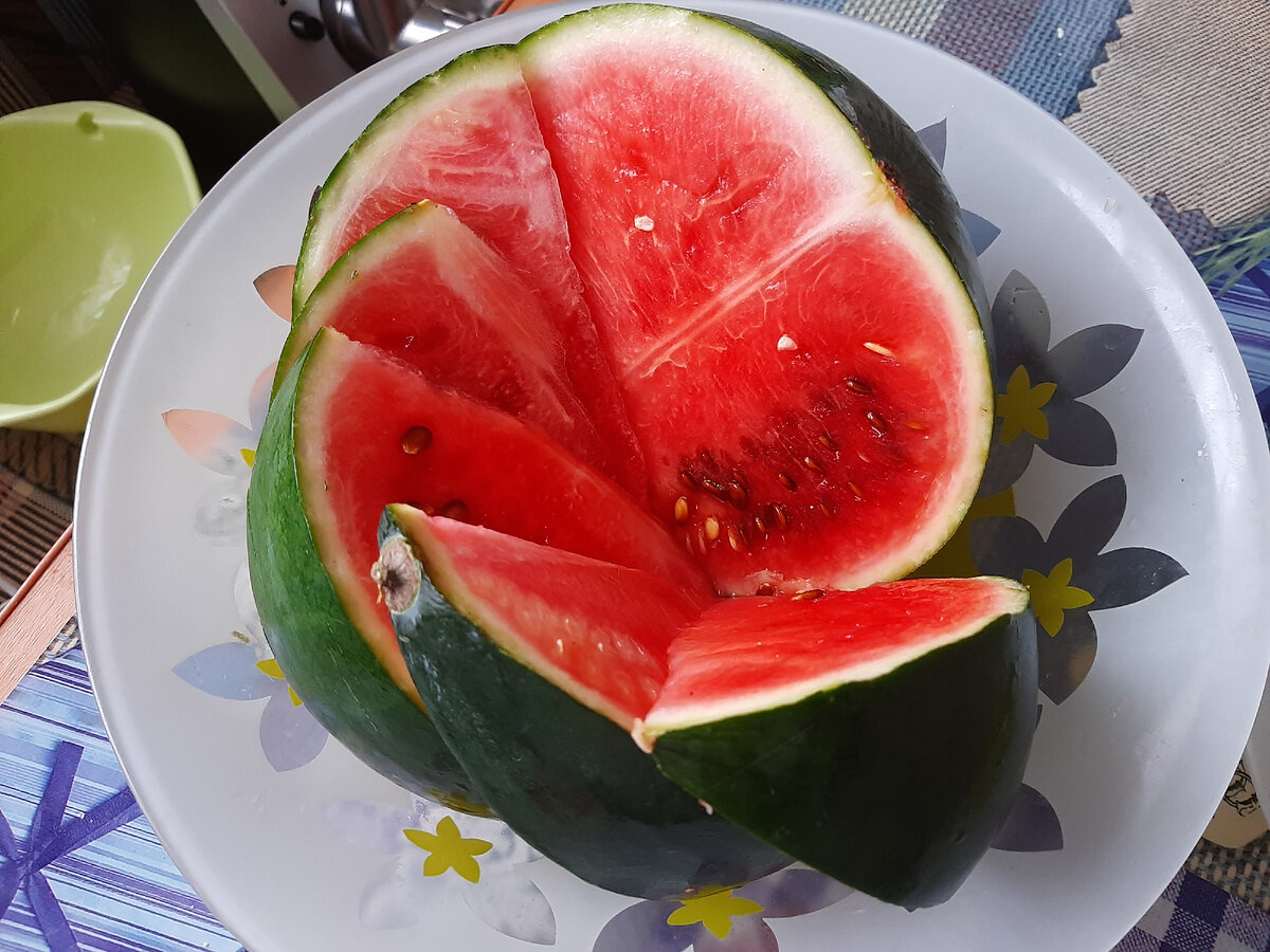 Дикий арбуз