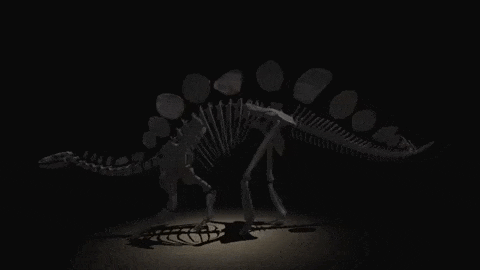 Реконструкция походки Софи
Natural History Museum / youtube
