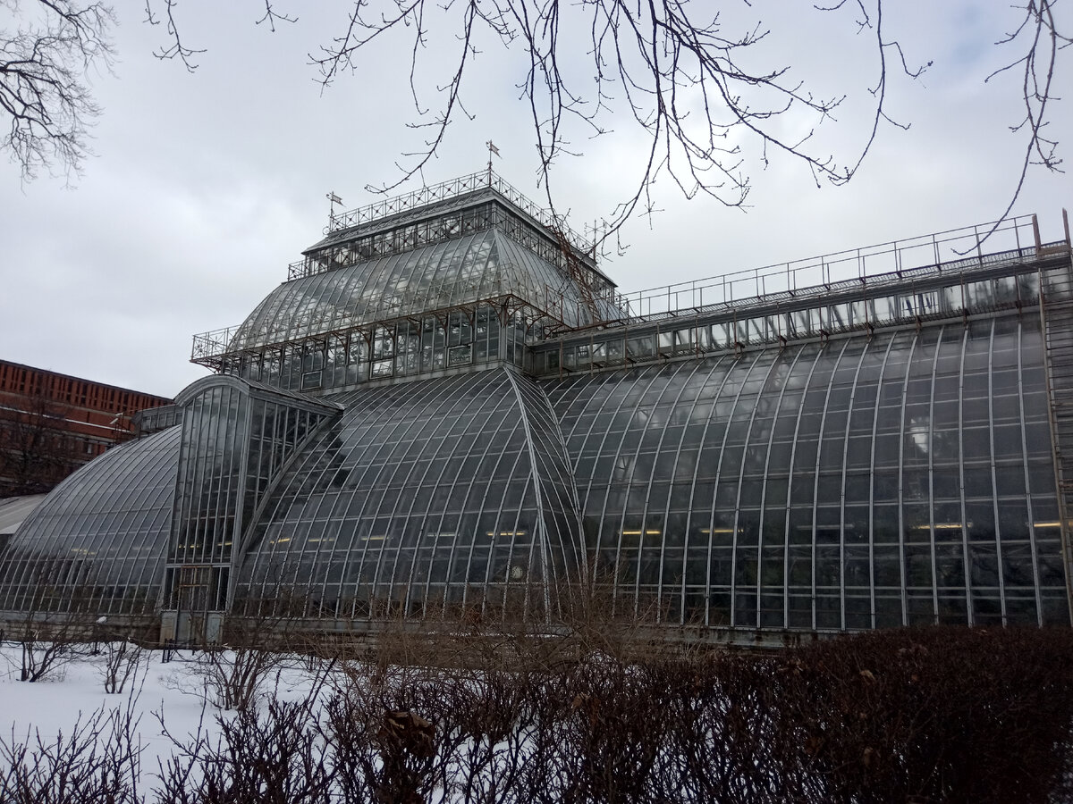 Оранжерея Ботанического сада, Санкт-Петербург