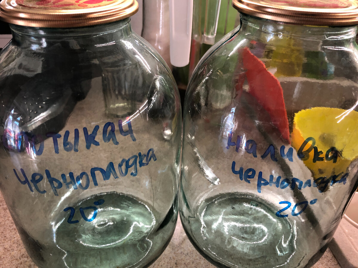 Пописал банки заранее