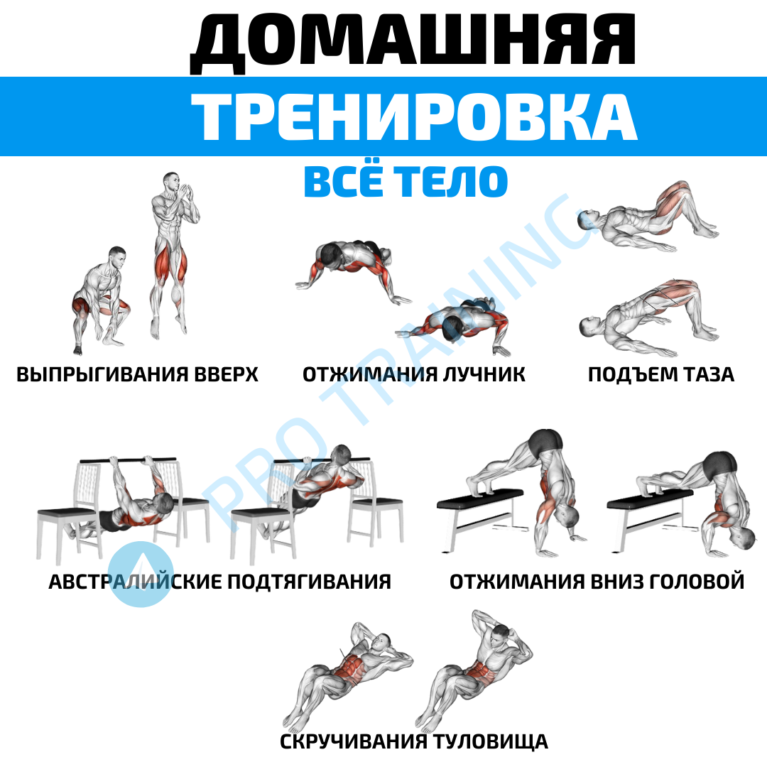 Как эффективно тренироваться в домашних условиях для набора мышечной массы  | PRO TRAINING | Дзен