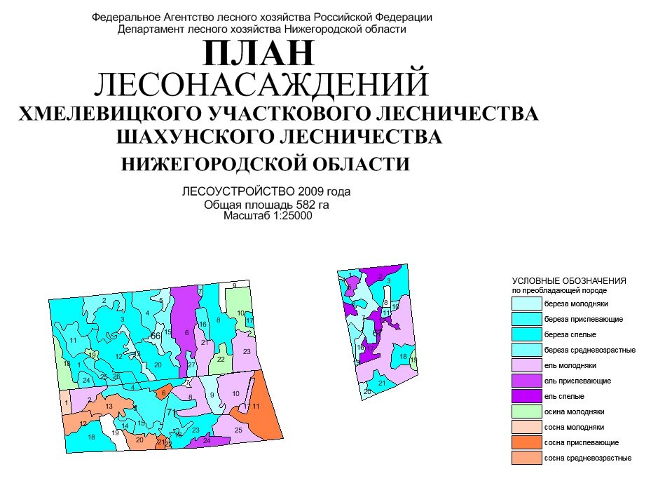 Фото из архива автора. Схематическая карта, где каждая порода имеет свой код в RGB 