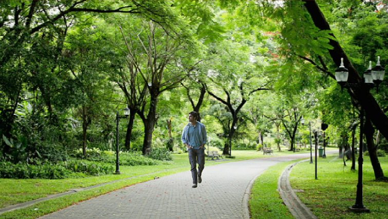 Монтаж из отдельных картинок, взятых в интернете.