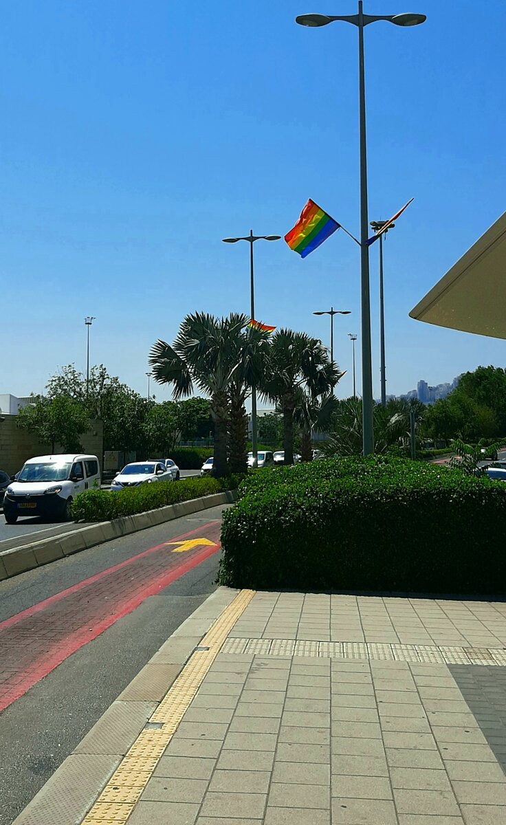 Хайфа. Остановка метронитов.