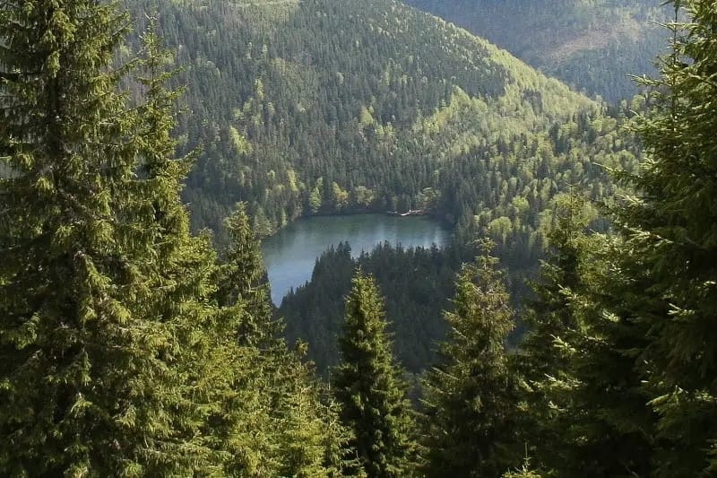 фото взято из открытых источников yandex.ru