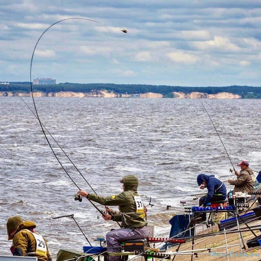 Рыбы для спортивной рыбалки