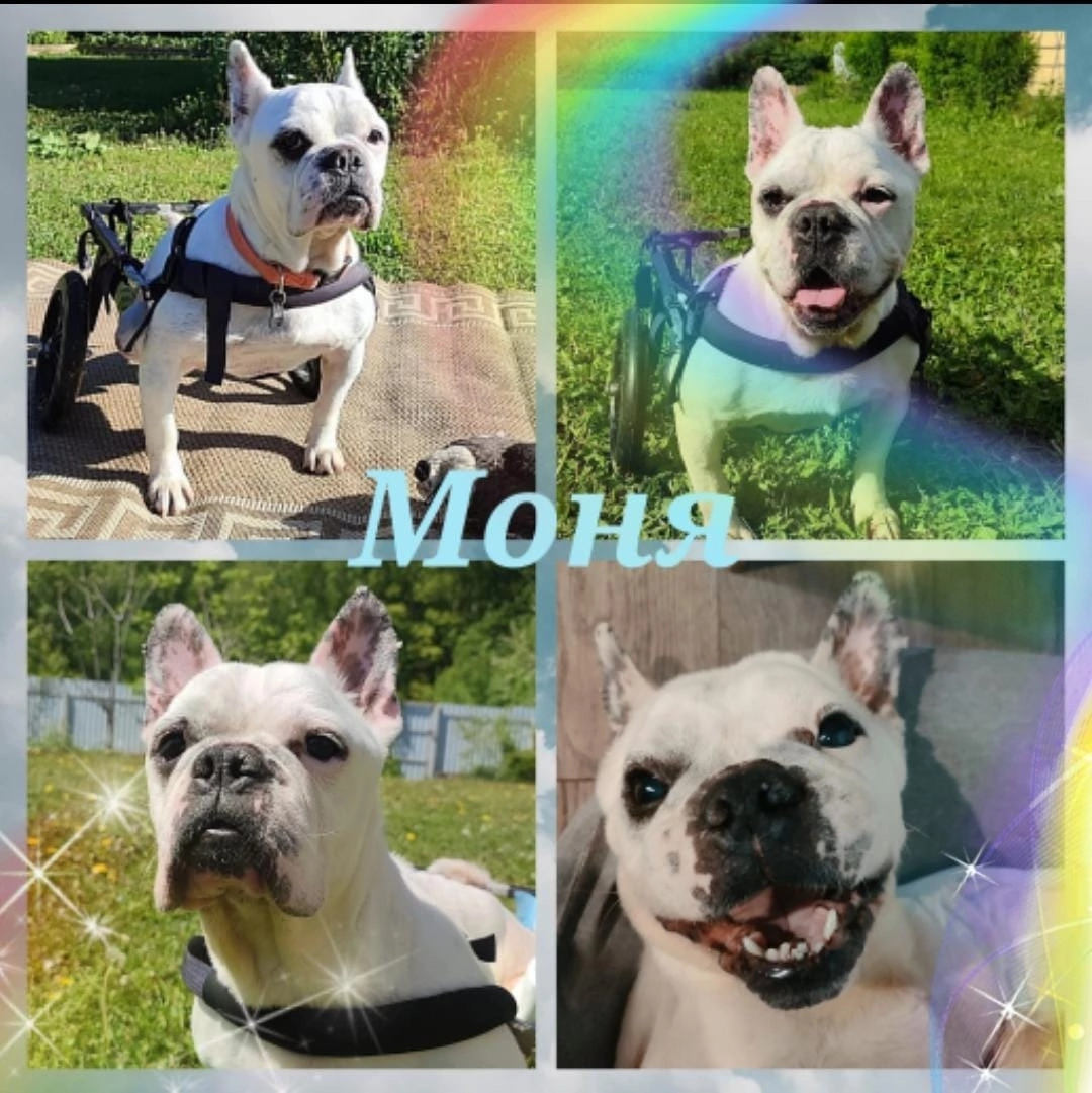 Моня🌈