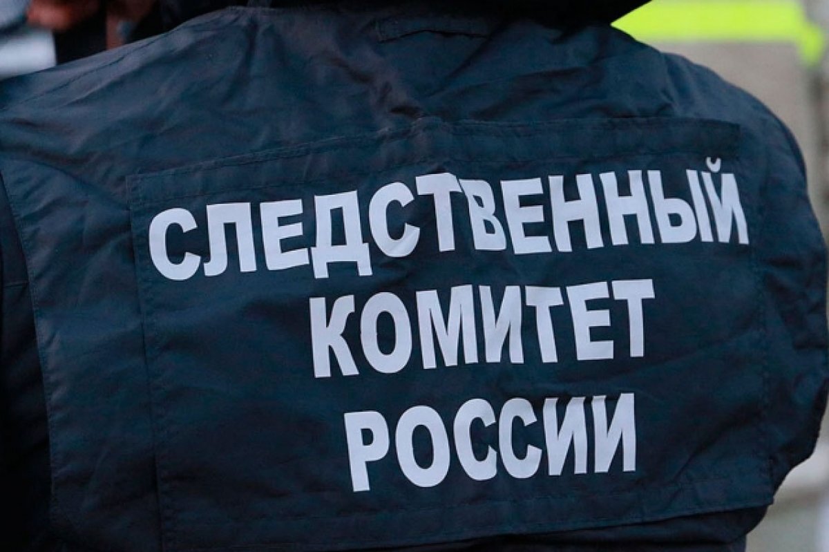    Челябинского учителя задержали по делу о надругательстве над ребёнком