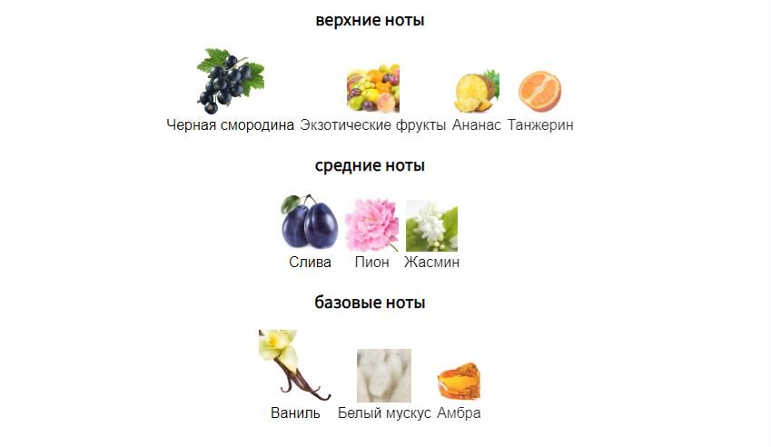 fragrantica.ru