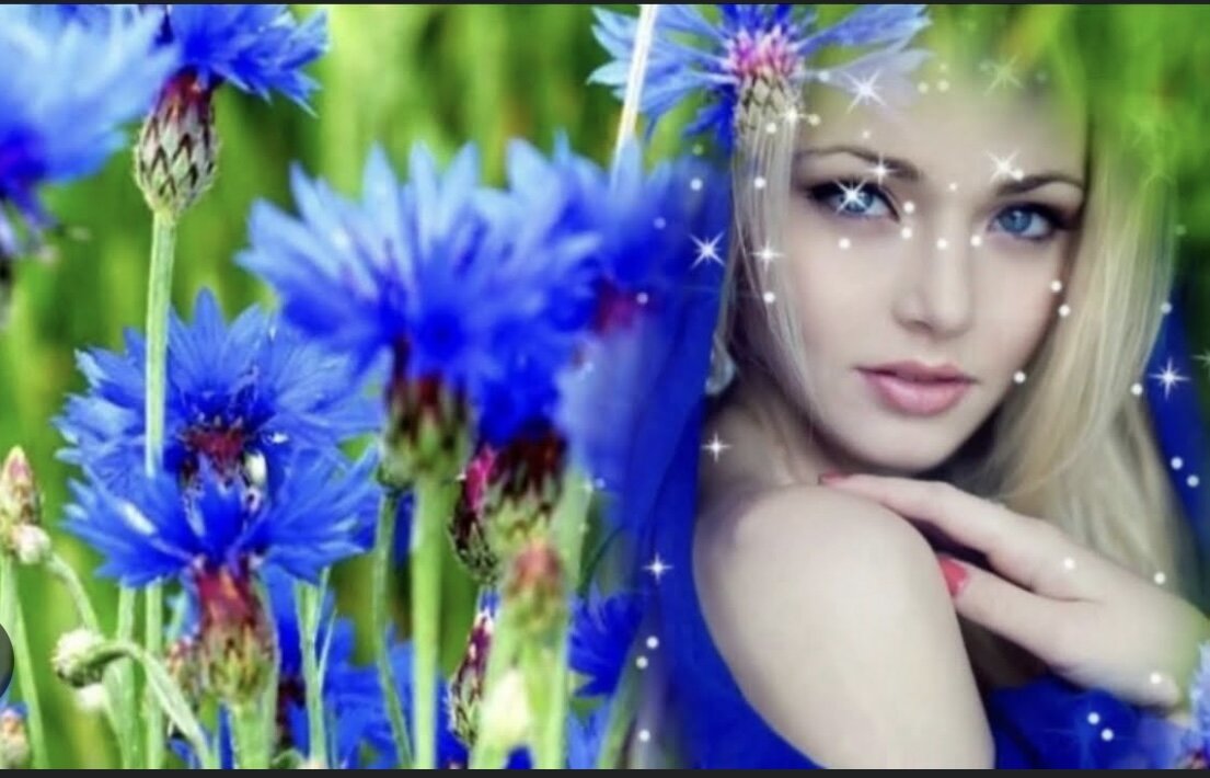 Васильки любовь. Стихотворение про синий цвет для детей. Девочка с васильками. Песня васильковым небом. Алена ланская васильковое небо.