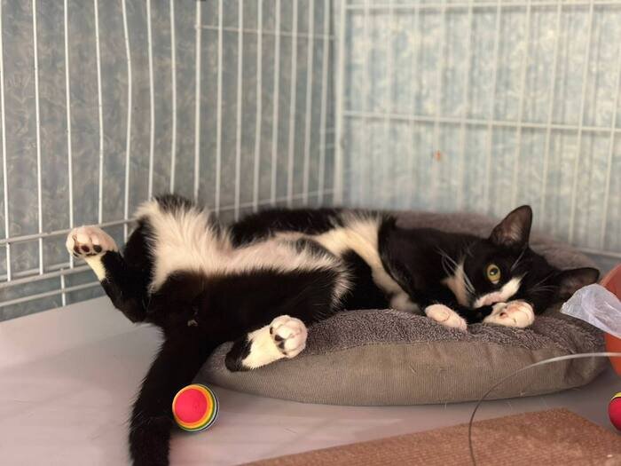 эти пяточки, невозможные!