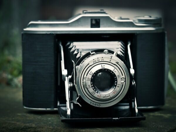    Фото: pixabay.com