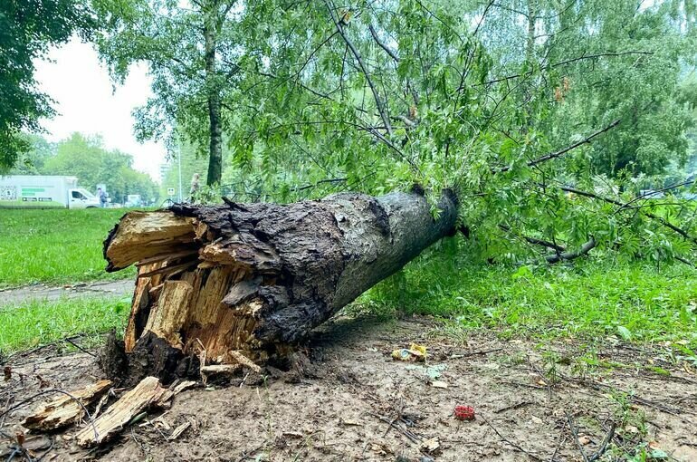   Мобильный репортер / Агентство «Москва»