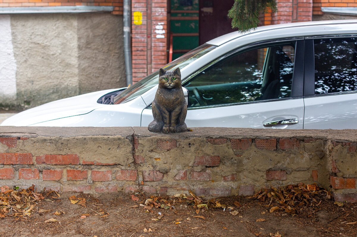 Памятник кошке Мусе. Лыткарино, Московская область. Фото автора статьи (листайте галерею, ещё 1 фото)