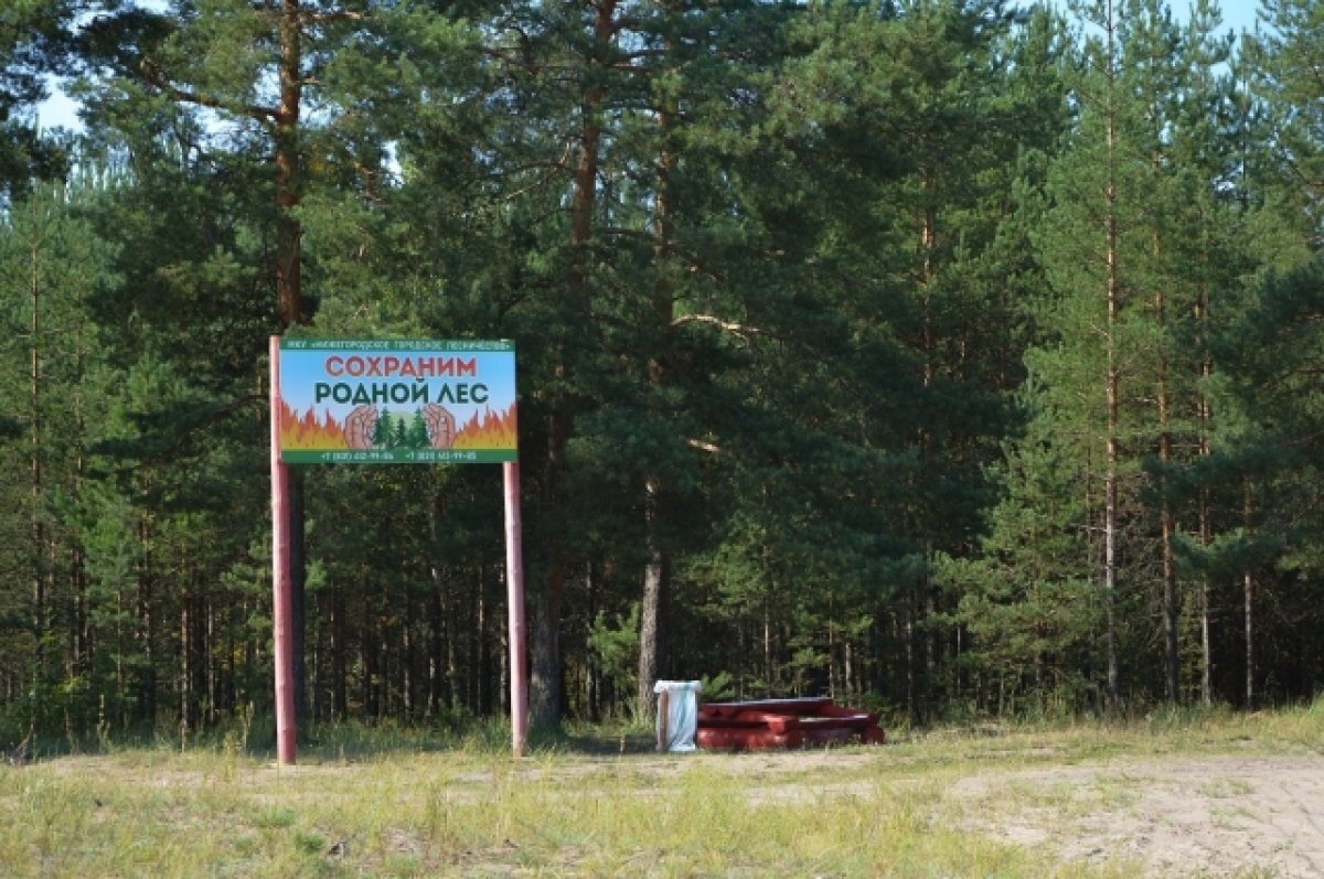    Ни одного пожара не зафиксировано в лесах Нижнего Новгорода с начала сезона