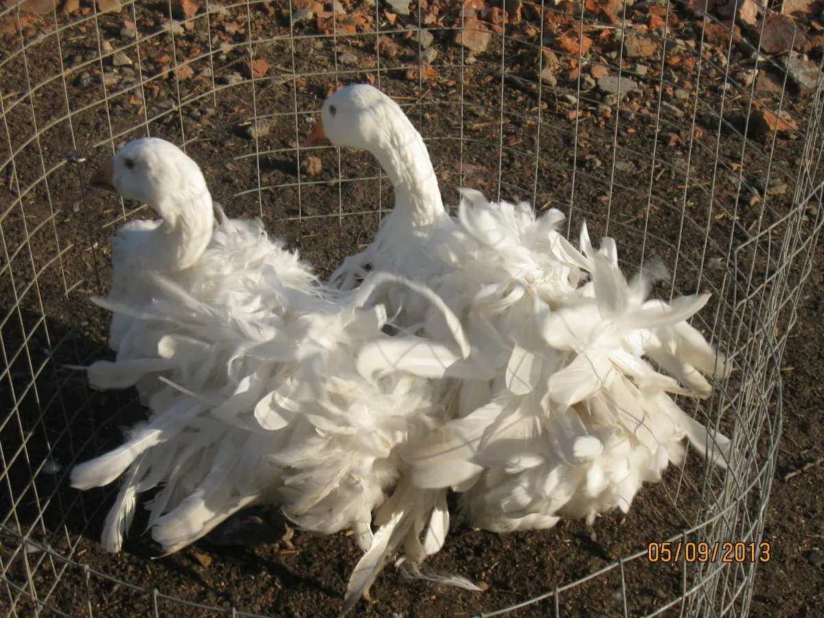 ������������� � �� �� ��� �� ������������!