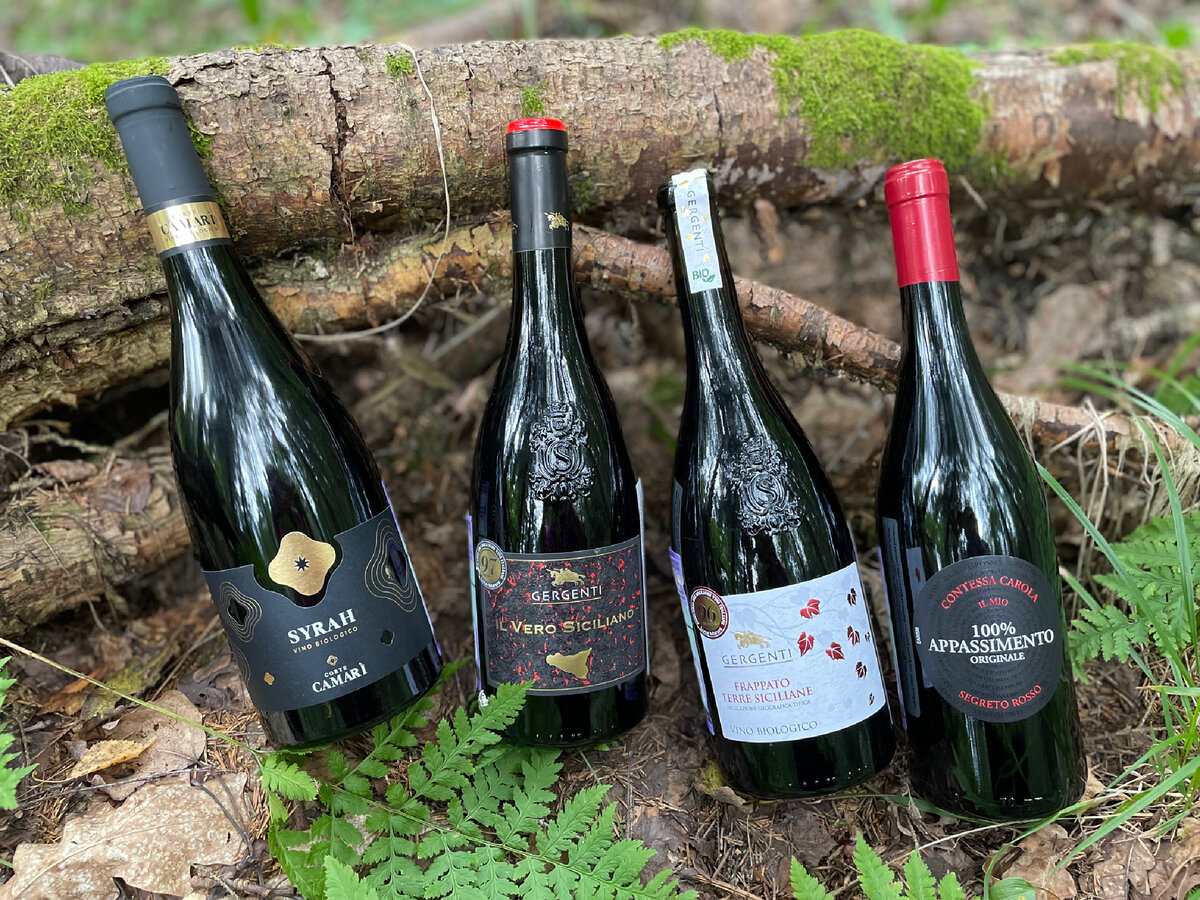 Наши сегодняшние герои