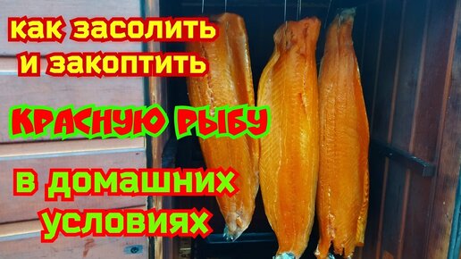 Сало горячего копчения: выбор, засолка, подробный пошаговый рецепт с фото в домашних условиях