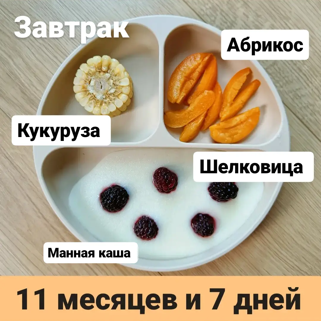 Прикорм. Тарелка 11 месяцев и 7 дней. Завтрак. | В поисках дома ❤️ Вьетнам  🇻🇳 Нячанг | Дзен