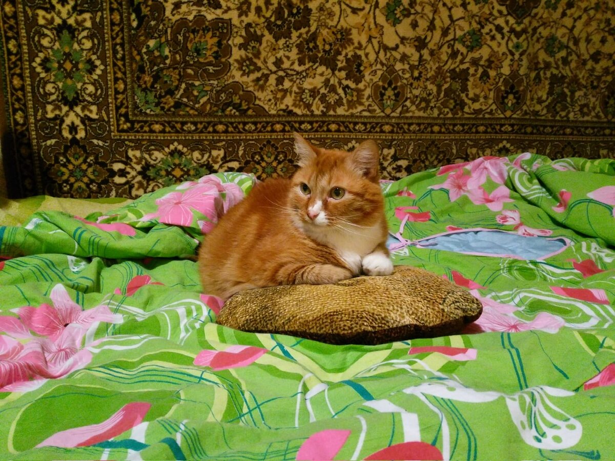 За просмотром ТВ