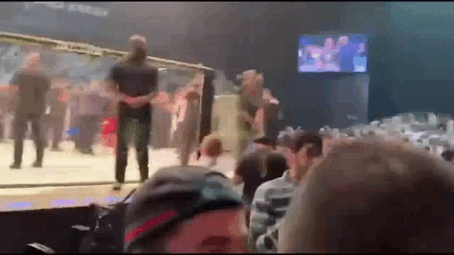 Стычка Абубакара Нурмагомедова и Хамзата Чимаева