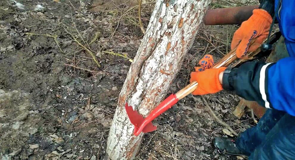 Сад и Огород sadogorod