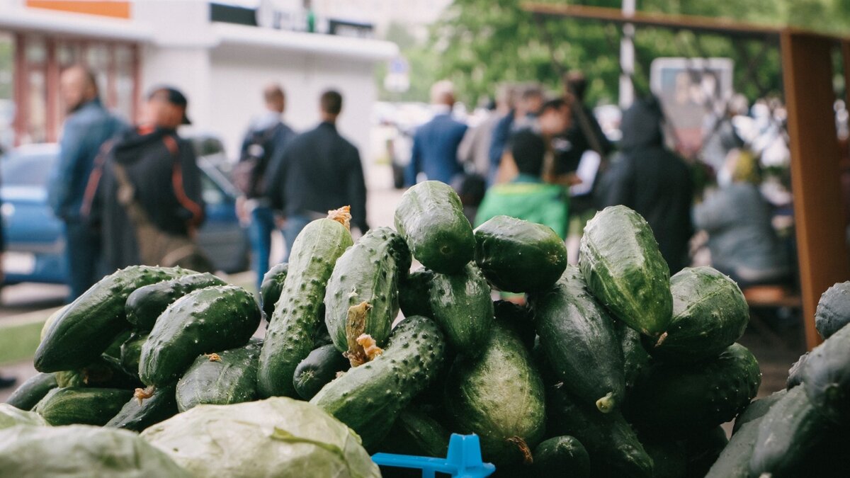     Стоимость бананов в регионе выросла на 8%, а огурцы подорожали на 4%, сообщает Северо-Кавказстат.