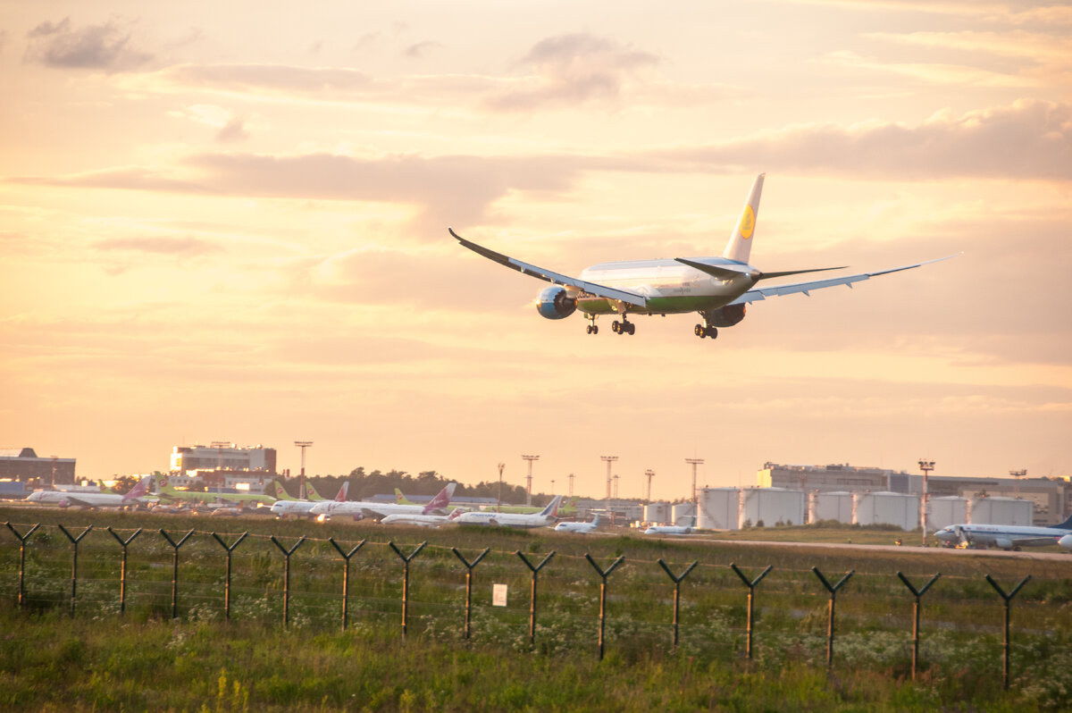 Посадка Boeing 787 Dreamliner в Домодедово