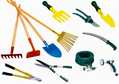  Многие женщины в этом возрасте будут рады презенту для сада