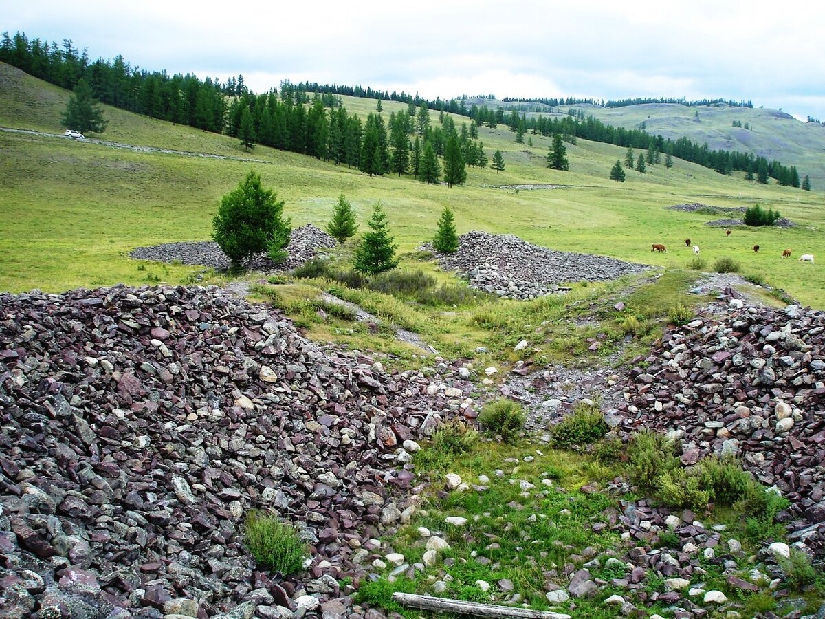 Могильники алтая. Пазырыкские Курганы горный Алтай. Пазырыкские Курганы на Алтае. Пазырыкский Курган в Горном Алтае. Пазырыкские Курганы Улаганского района.