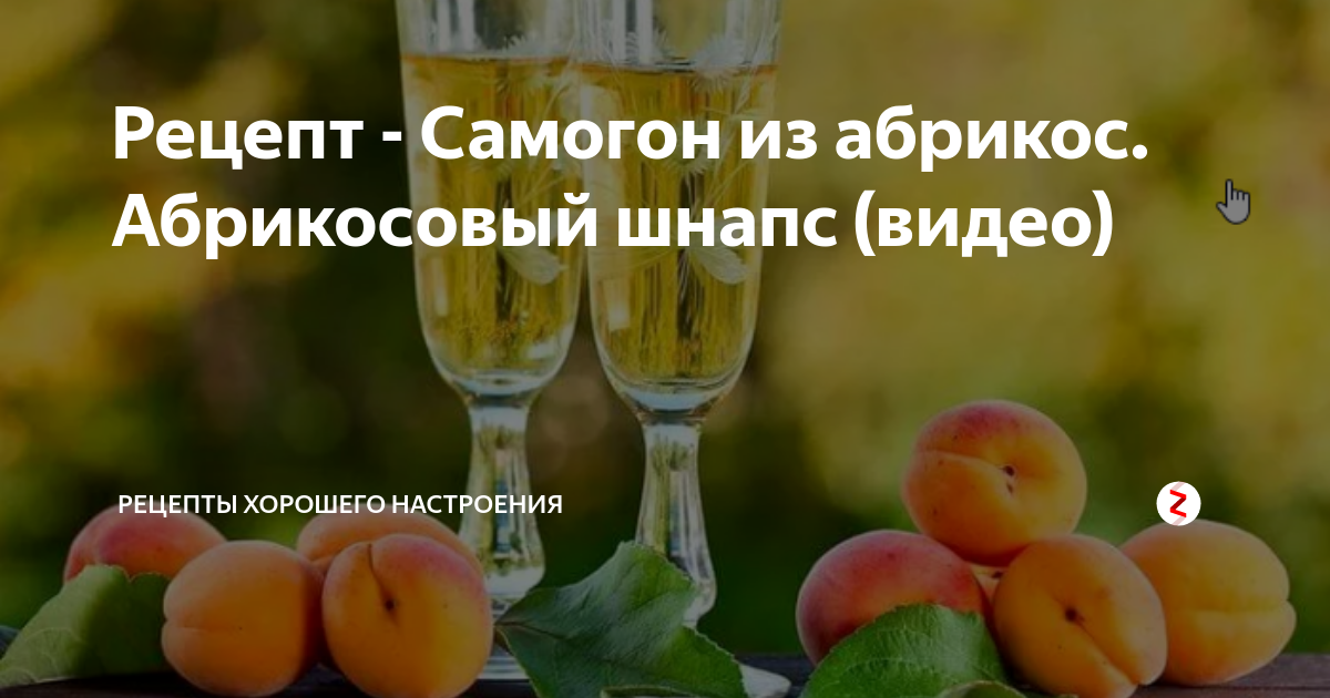 Самогон из абрикос. Шнапс абрикос. Абрикосовый шнапс. Абрикосовый самогон.