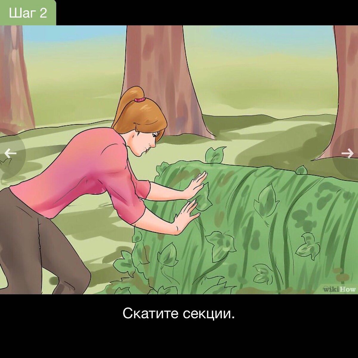 Поднимите край одной из секций и заверните наверх. Продолжайте заворачивать плющ, пока вся секция не превратится в один большой рулон плюща. Уберите эту секцию в другое место и продолжайте заворачивать другие секции, пока не очистите всю область от плюща.