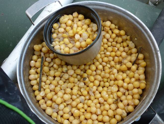 фото взято из сети интернет