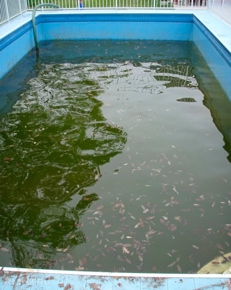 Мутная вода в бассейне после химии. Грязный бассейн. Грязная вода в бассейне. Вода в бассейне. Зацвела вода в бассейне.