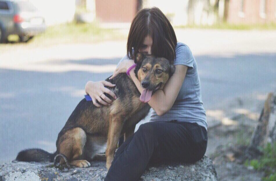 Фото не мое, но эмоцию передает очень