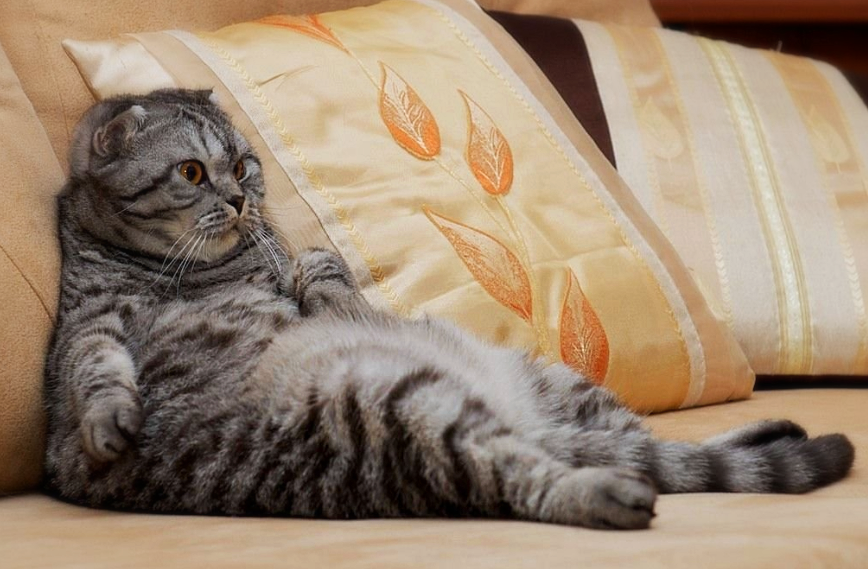 We worked hard - выучили идиомы, now можно relax a little