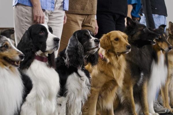 А как Вы относитесь к выставкам, посещаете их? Пишите комментарии. Спасибо.