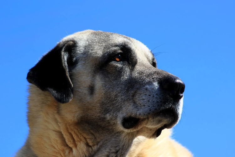 Палец вверх за пристальный взгляд! 😎