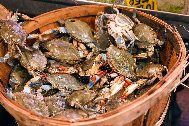 Источник http://sacompassion.net/crabs-in-the-bucket/