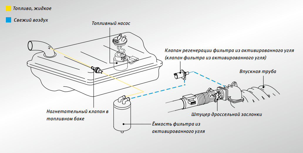 Система EVAP проста, ломается редко и никакого обслуживания не требует. 