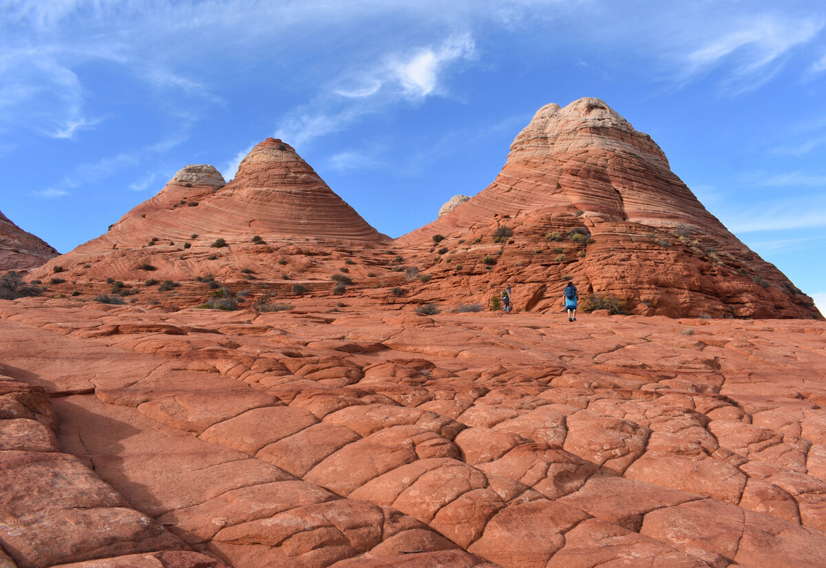 Пешеходная тропа на пути к каньону Coyote Buttes