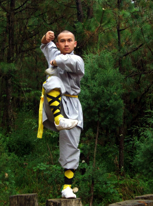 Дневник жизни дзен храма "У Вэй" (Китай)