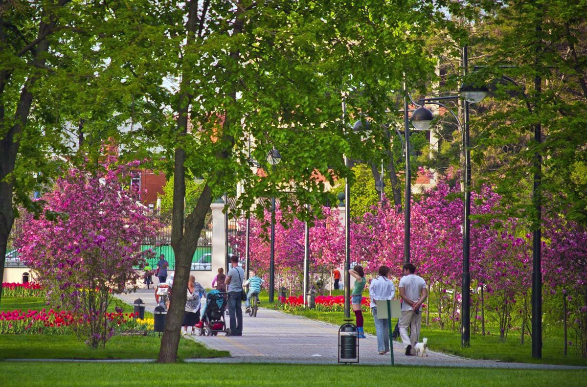 Источник фото: moiyg.ru