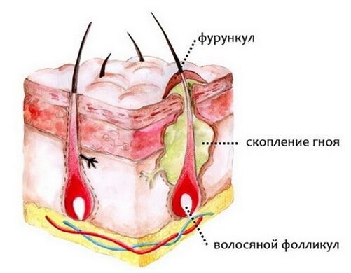 изображение с сервиса Яндекс картинки