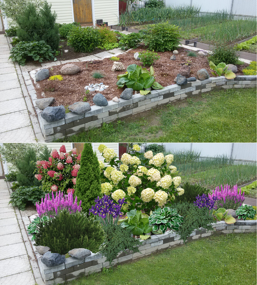Современные клумбы