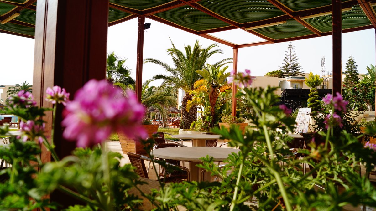  Фото  отеля 