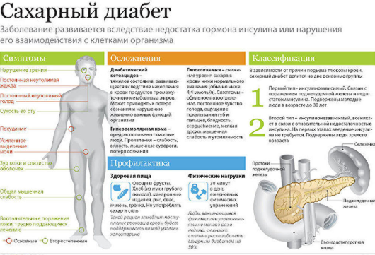 фото: https://ria.ru/