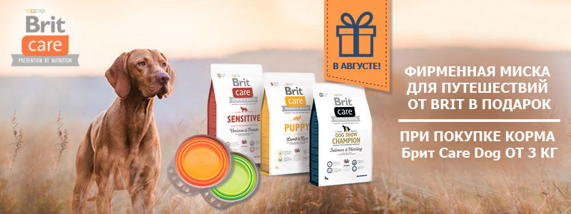 
Подробнее: https://animalpark.by/skladnaya-miska-v-podarok-09082019.html